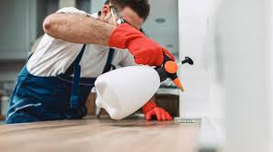 Real Estate Pest Inspections in West Hills, NY